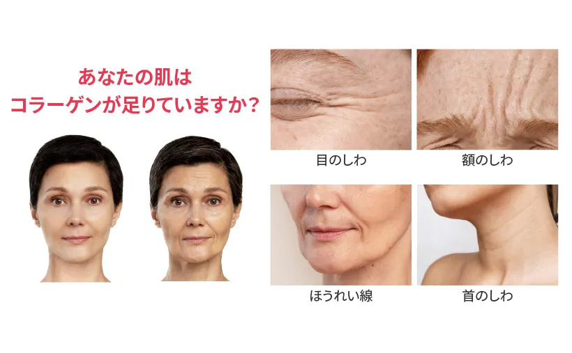 [ビューディアニ] インフュージングコラーゲンパウダー | 詳細画像3